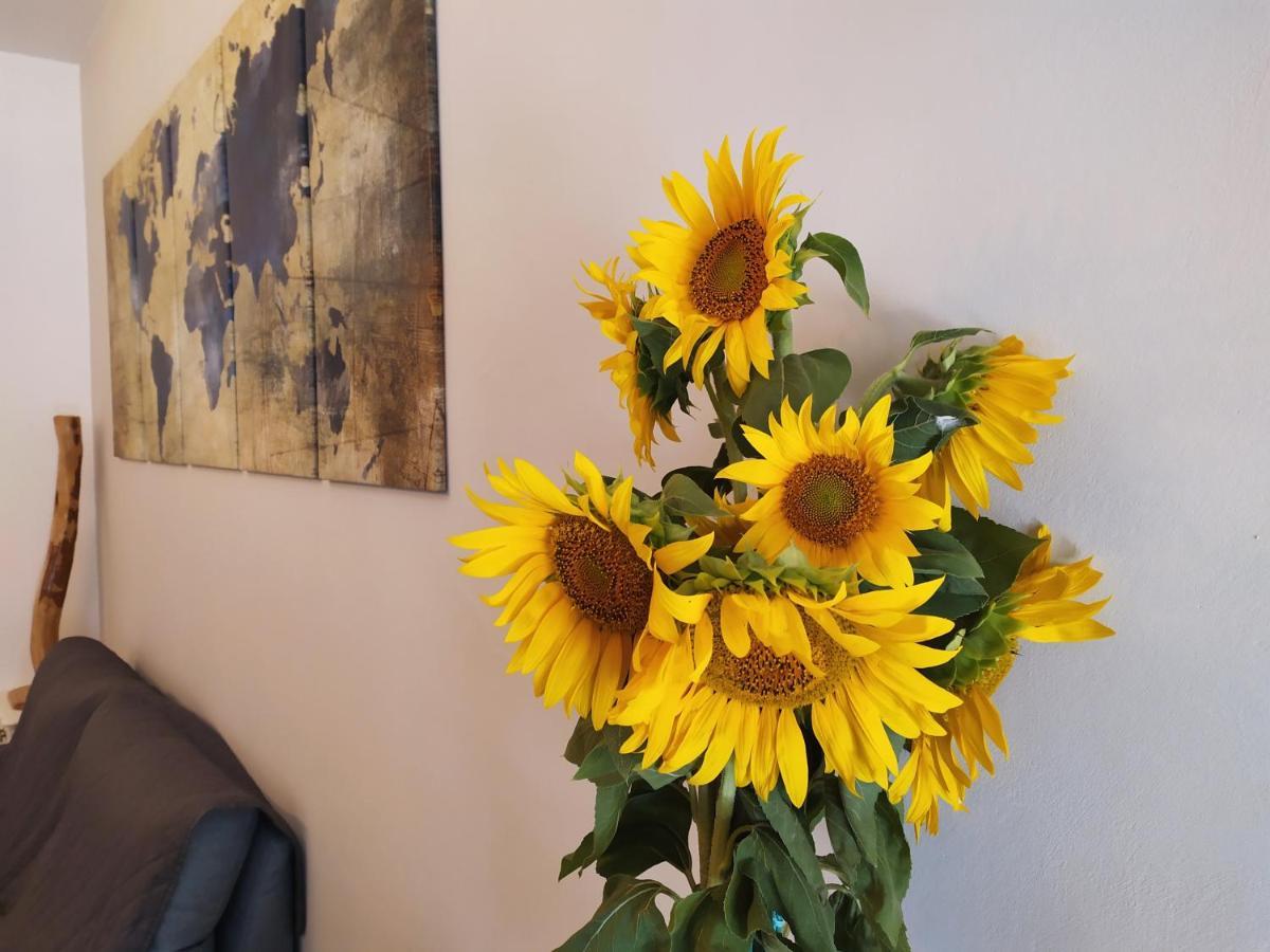 Apartament La Dolce Agogia Asyż Zewnętrze zdjęcie